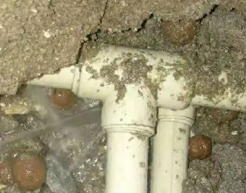 安龙测漏水多少钱