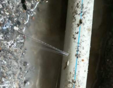 安龙测漏水哪家好