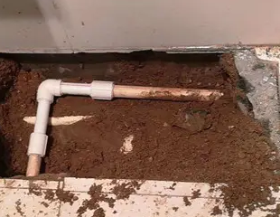 安龙测漏水哪家好