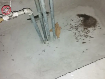 安龙卫生间测漏水价格明细