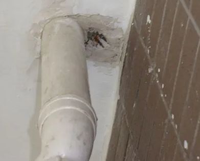 安龙漏水检测哪家好